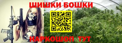 индика Абакан