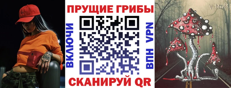 Галлюциногенные грибы Psilocybe  Александров 