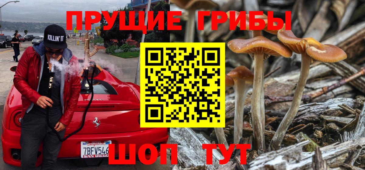 Александров  Галлюциногенные грибы мицелий  Вход с VPN 